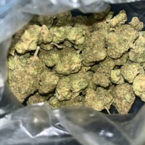 Buy Candy Buds Online UK