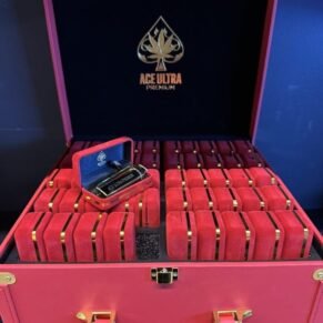 Ace Ultra Premium Vape UK